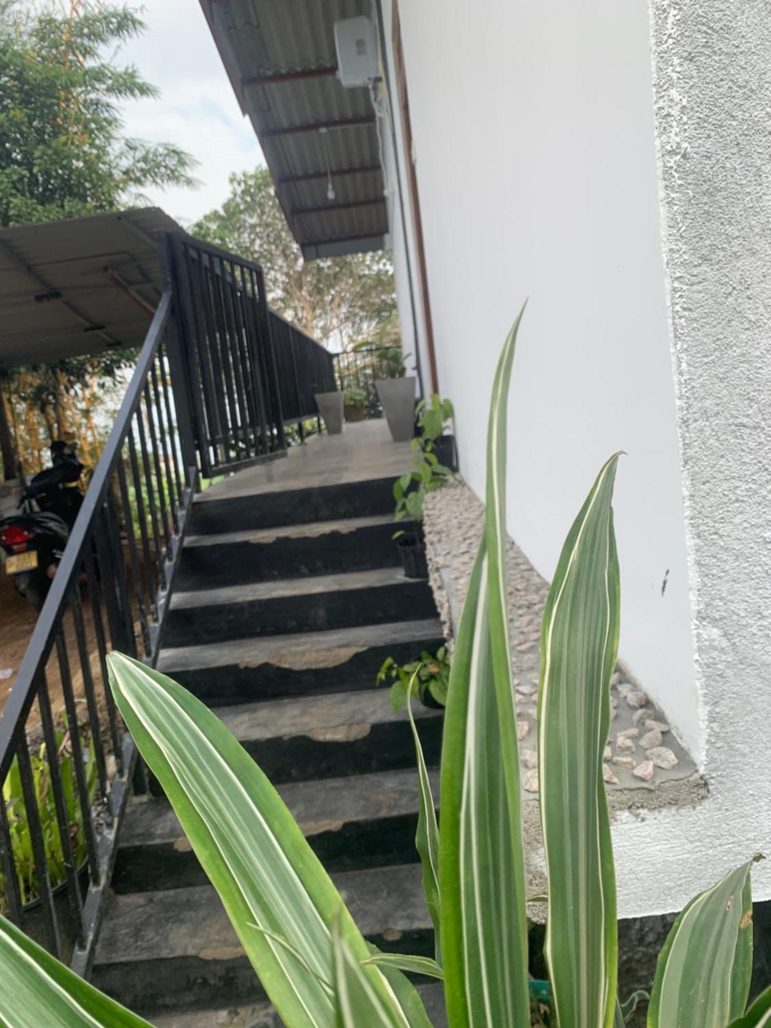 Broad View Ella Exterior foto